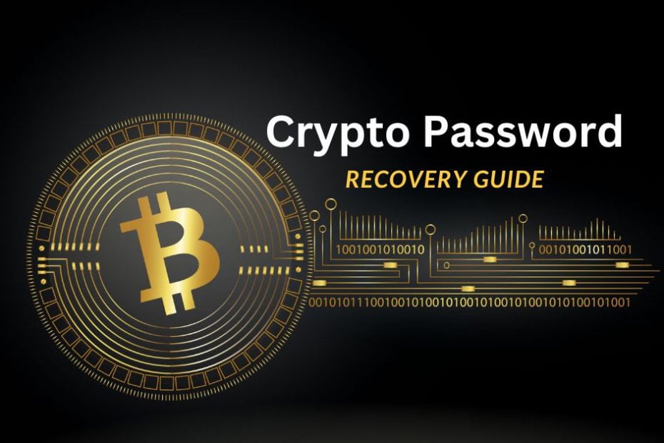 Crypto Password Recovery Guide