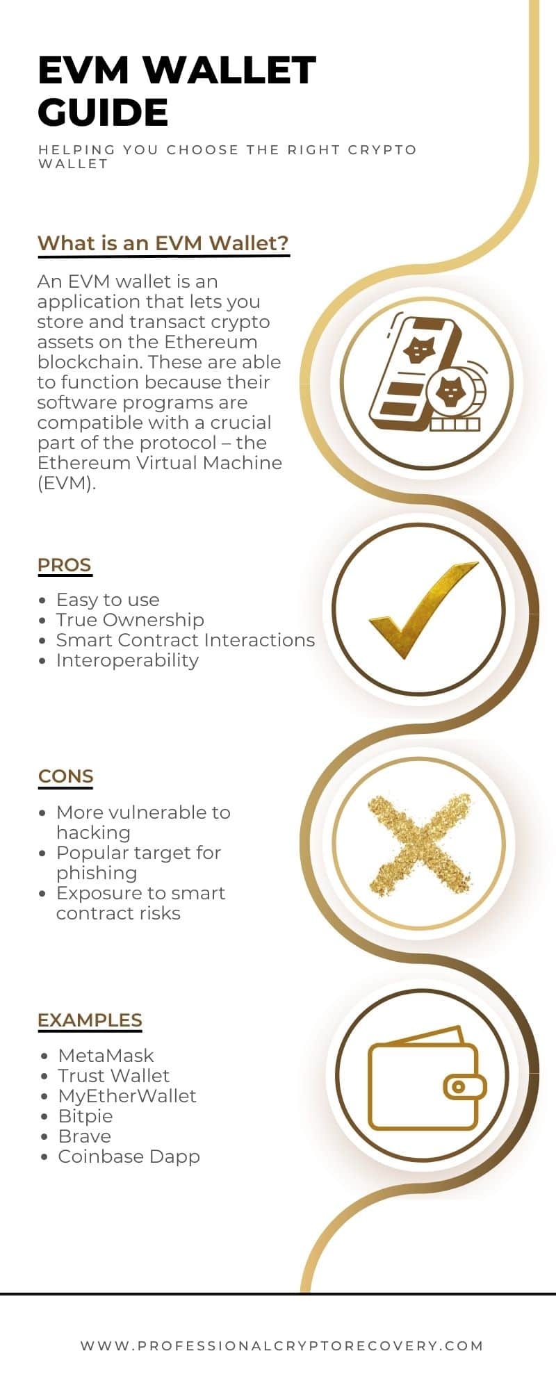 EVM Wallet Guide Infographic
