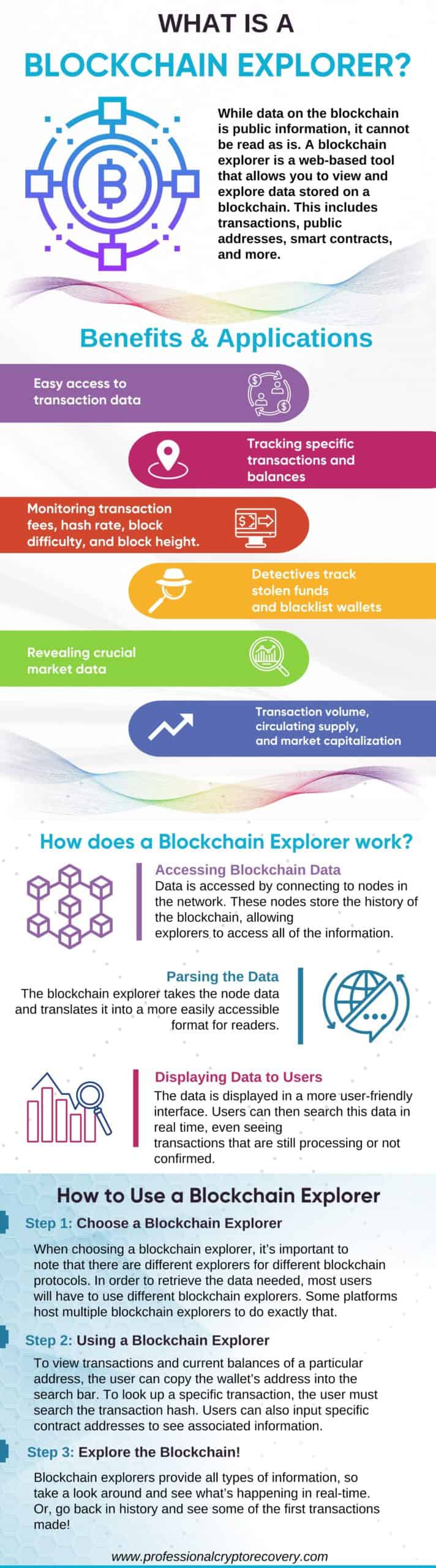 Blockchain Explorer Infographic