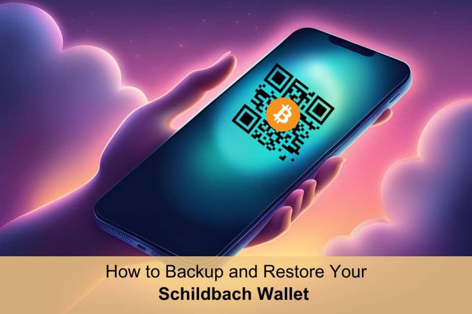 How to backup and restore Schildsbach wallet